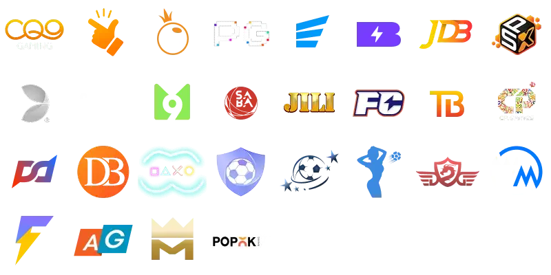 Platform Partners